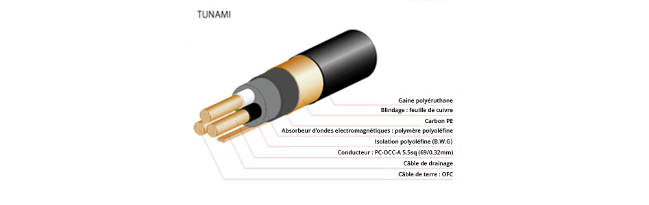 OYAIDE TUNAMI GPXe Câble secteur PC-OCC-A IEC C13 Plaqué Or 24k Palladium 1.8m